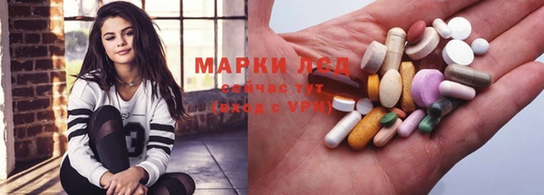 шишки Аркадак