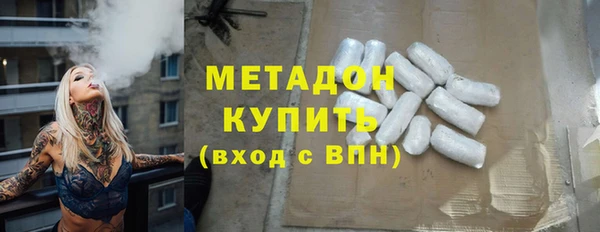 индика Арсеньев