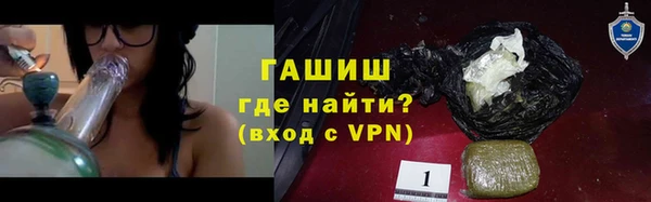 индика Арсеньев