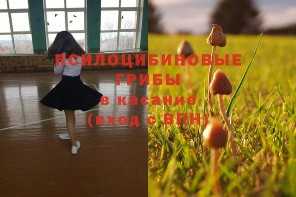 гидра Армянск