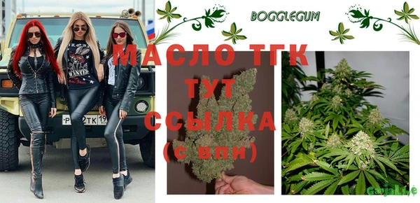 шишки Аркадак