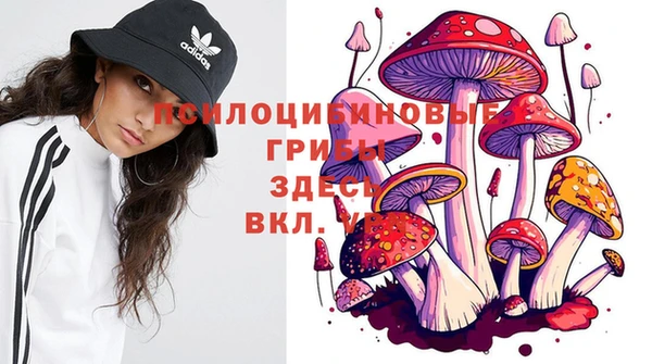 индика Арсеньев