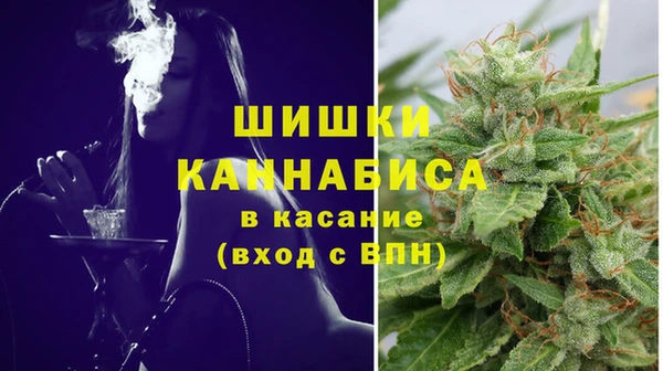 индика Арсеньев
