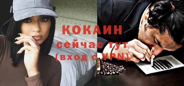 индика Арсеньев