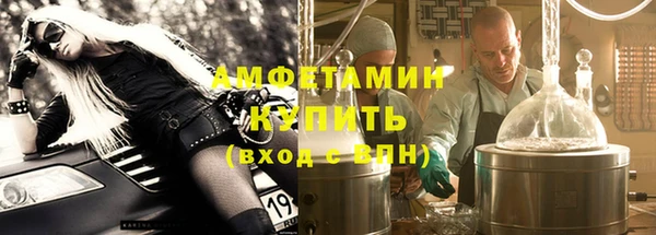 индика Арсеньев
