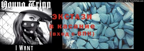 индика Арсеньев