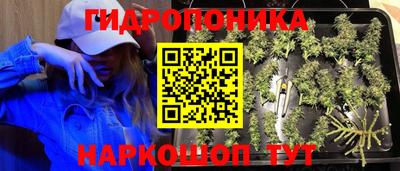 каннабис Брянск