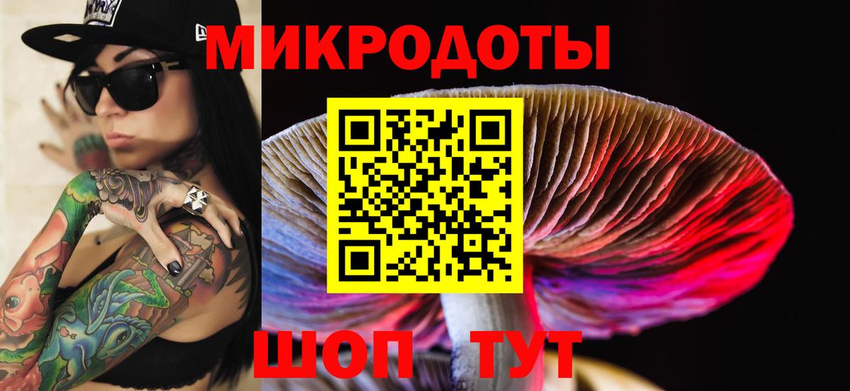 Псилоцибиновые грибы прущие грибы Аша