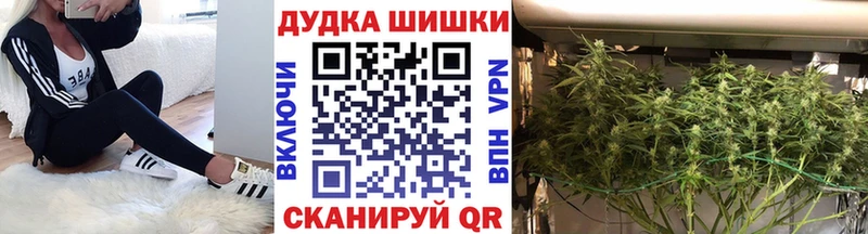 Конопля MAZAR  Аша 